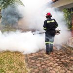 Tips antes, durante y después de fumigar tu casa